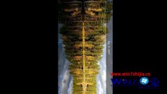 win7 Mobile版《Lumia全景》应用开放已开放下载的解决步骤?