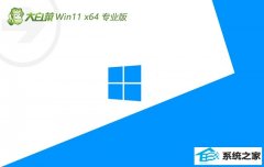 <font color='#990000'>ײwin11⼤64λƷҵv2025.05</font>