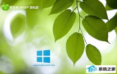 ƻϵͳv2025.05ghost XP3 ׼