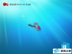 ѻ԰v2025.05win10 64λپ԰