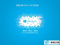 ϵͳ֮win1164λڲv2025.05
