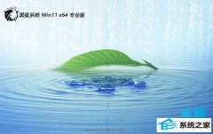 ϵͳv2025.05win11 64λŻ