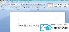 win7装机版系统word文档不能输入免费如何办