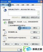 w10װiEԶʲô