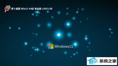 ܲ԰Windows11 64λ װ 2021.08