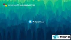 系统之家Windows11 64位 优化装机版 2021.08