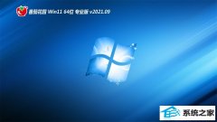 ѻ԰Windows11 64λ װ 2021.09